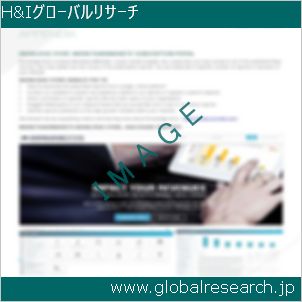 グローバルリサーチ調査レポートのイメージ
